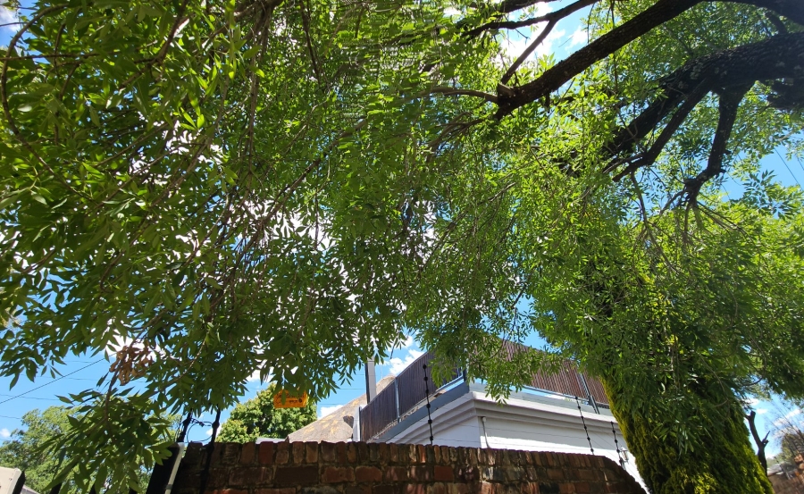 4 Bedroom Property for Sale in Dan Pienaar Free State